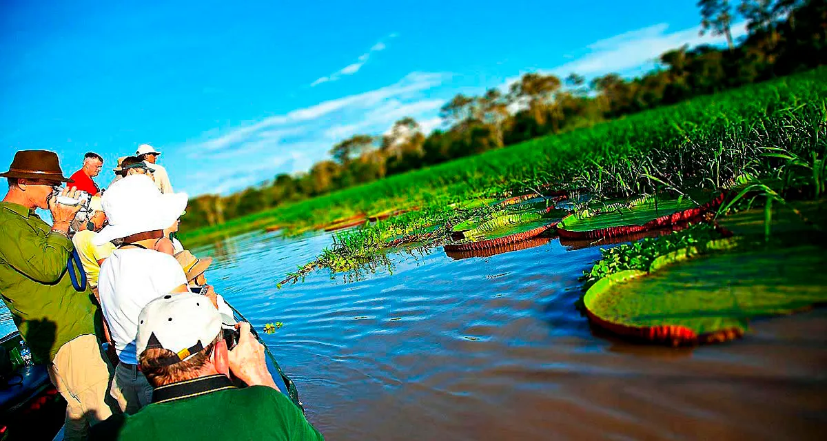 Tours en Iquitos, Perú - Amazonía Peruana