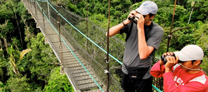 Cultura Y Aventuras En La Selva (5D/4N)