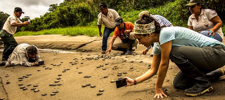 Tours Pacaya Samiria (8D/7N) - Desde Tarapoto