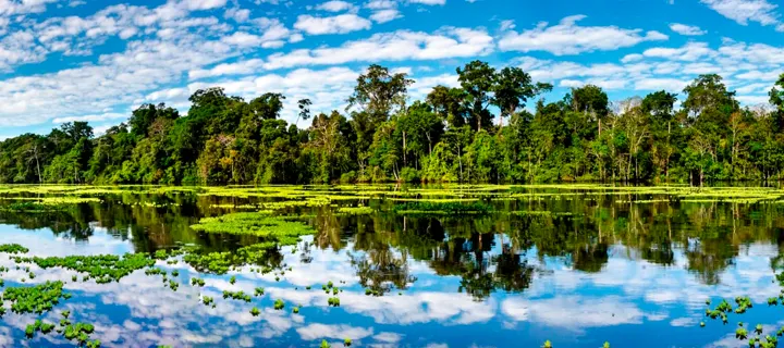 Expedición Pacaya Samiria (5D/4N) - Desde Iquitos